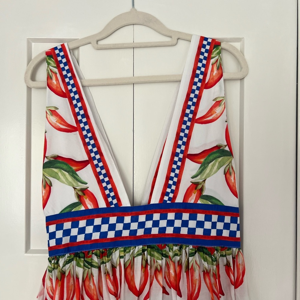 FARM Rio Picnic Peppers Ainika Midi Dress - Picture 12 of 12